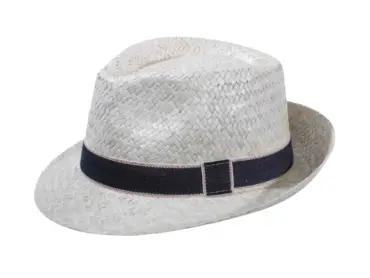Fedora Strohhut aus Naturstroh mit schwarzem Rebsband