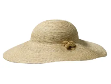 Florentinerhut - Freiamt Rottenschwilerin