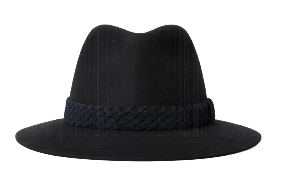 Fedora Traveler Stichelhaar